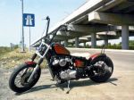 Old school Steed chopper